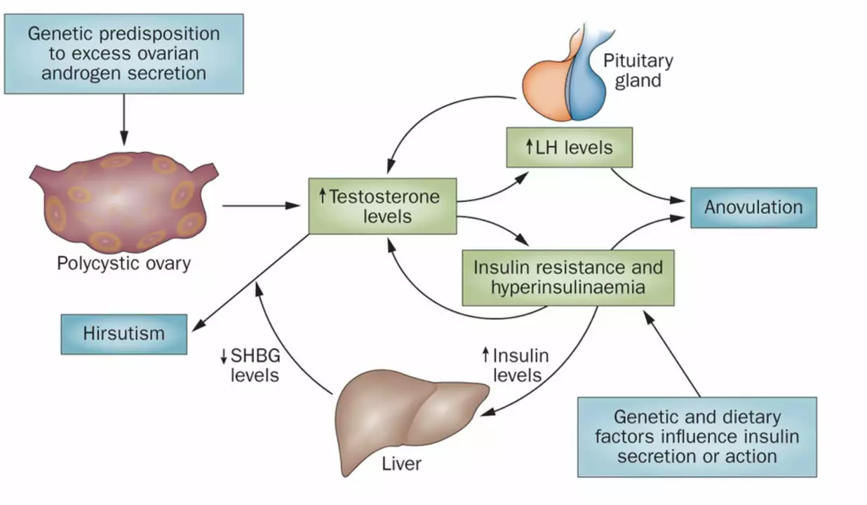 Amiodarone and the Management of Long QT Syndrome: An Overview