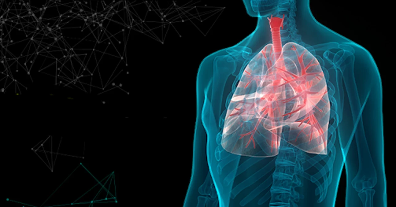 The Connection between Idiopathic Pulmonary Fibrosis and Aging