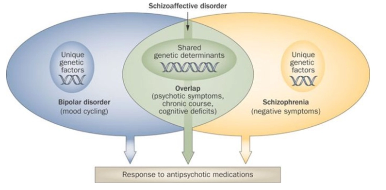 The Role of Clozapine in the Management of Psychotic Depression