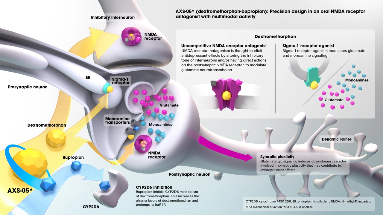 How Ornidazole Works: A Deep Dive into Its Mechanism of Action